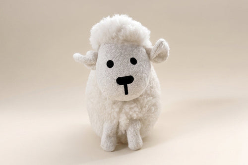 Why We Chose Curt the Sheep